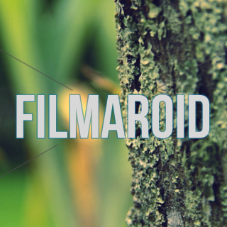 Exotic and large red ants working and carrying bits of flowers from a tree - A group of large red ants working as a team to carry down bits of yellow flowers from a mossy tree trunk during one summer afternoon in a fresh garden