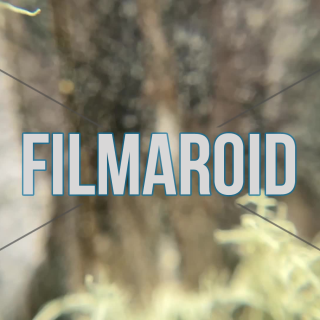 4k macro footage of hairy green moss growing on tree trunk with rough bark texture - 4k macro footage of hairy green moss growing on tree trunk with rough bark full of surface details