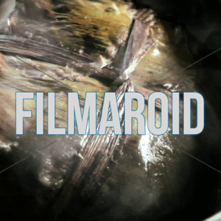 Tamal valluno being cooked in boiling water - A Colombian tamal being cooked in kitchen pot with boiling water