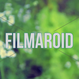 Fennel flowers and lettuce organic field crops - Organic field crop with fennel flowers and lettuce